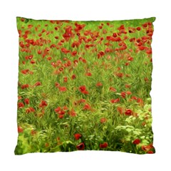 Poppy Vii Standard Cushion Case (two Sides) by colorfulartwork