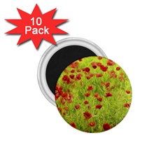 Poppy Viii 1 75  Magnets (10 Pack) 