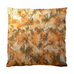 Water Oil Paint                                                       	standard Cushion Case (two Sides) by LalyLauraFLM