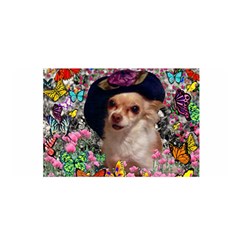 Chi Chi In Butterflies, Chihuahua Dog In Cute Hat Satin Wrap by DianeClancy