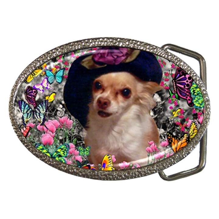 Chi Chi In Butterflies, Chihuahua Dog In Cute Hat Belt Buckles