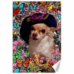 Chi Chi In Butterflies, Chihuahua Dog In Cute Hat Canvas 20  X 30   by DianeClancy
