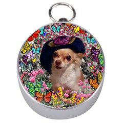 Chi Chi In Butterflies, Chihuahua Dog In Cute Hat Silver Compasses