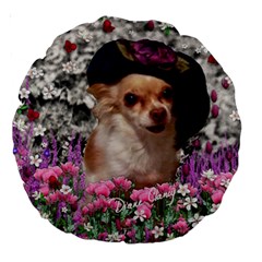 Chi Chi In Flowers, Chihuahua Puppy In Cute Hat Large 18  Premium Round Cushions by DianeClancy