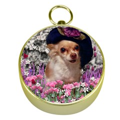 Chi Chi In Flowers, Chihuahua Puppy In Cute Hat Gold Compasses by DianeClancy