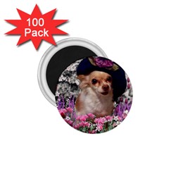 Chi Chi In Flowers, Chihuahua Puppy In Cute Hat 1 75  Magnets (100 Pack)  by DianeClancy