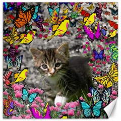 Emma In Butterflies I, Gray Tabby Kitten Canvas 16  X 16   by DianeClancy