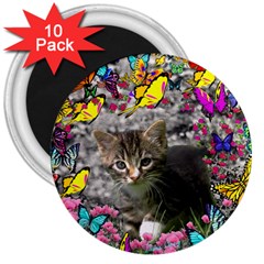 Emma In Butterflies I, Gray Tabby Kitten 3  Magnets (10 Pack)  by DianeClancy