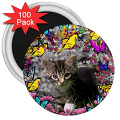 Emma In Butterflies I, Gray Tabby Kitten 3  Magnets (100 Pack) by DianeClancy