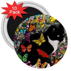 Freckles In Butterflies I, Black White Tux Cat 3  Magnets (10 Pack)  by DianeClancy