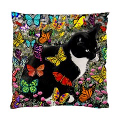 Freckles In Butterflies I, Black White Tux Cat Standard Cushion Case (one Side) by DianeClancy