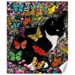 Freckles In Butterflies I, Black White Tux Cat Canvas 20  X 24   by DianeClancy