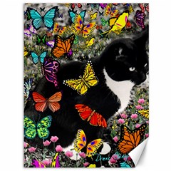 Freckles In Butterflies I, Black White Tux Cat Canvas 36  X 48   by DianeClancy