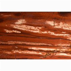 Red Earth Natural Canvas 24  X 36 