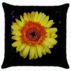 Yellow Flower Close Up Throw Pillow Case (black) by MichaelMoriartyPhotography