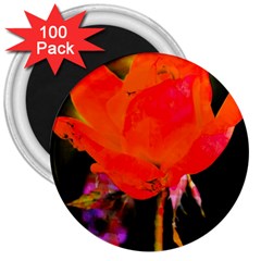 Red Beauty 3  Magnets (100 pack)