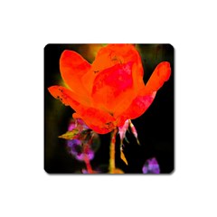 Red Beauty Square Magnet by MichaelMoriartyPhotography