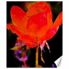 Red Beauty Canvas 8  X 10 