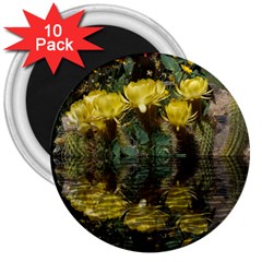 Cactus Flowers With Reflection Pool 3  Magnets (10 Pack)  by MichaelMoriartyPhotography