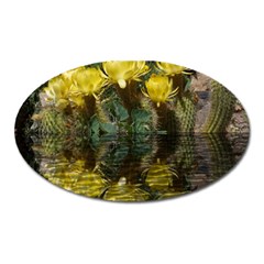 Cactus Flowers With Reflection Pool Oval Magnet