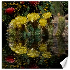 Cactus Flowers With Reflection Pool Canvas 16  X 16   by MichaelMoriartyPhotography