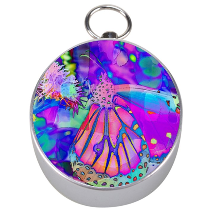 Psychedelic Butterfly Silver Compasses