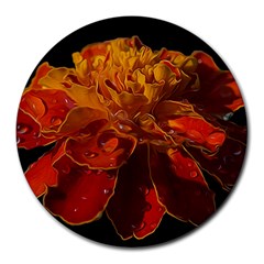 Marigold On Black Round Mousepads by MichaelMoriartyPhotography