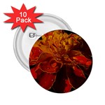 Marigold on Black 2.25  Buttons (10 pack)  Front