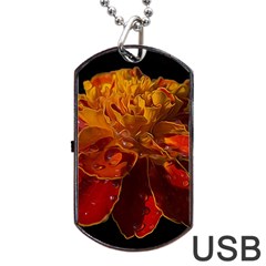Marigold On Black Dog Tag Usb Flash (two Sides)  by MichaelMoriartyPhotography