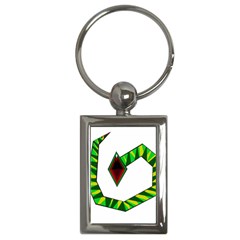 Decorative Snake Key Chains (rectangle)  by Valentinaart