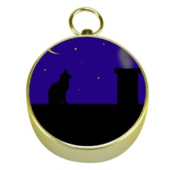 Cat On The Roof  Gold Compasses by Valentinaart