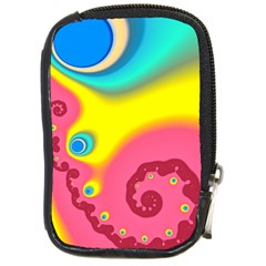 Distinction Compact Camera Cases