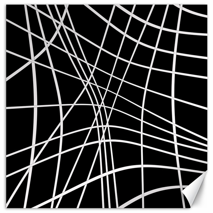 Black and white elegant lines Canvas 20  x 20  