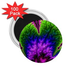 Amazing Special Fractal 25c 2 25  Magnets (100 Pack) 