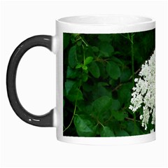 Beetle And Flower Morph Mugs by randolpheckel