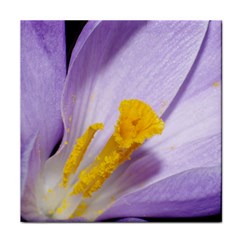 Crocus Closeupl Face Towel by PhotoThisxyz