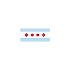 Flag Of Chicago Shower Curtain 48  x 72  (Small) 