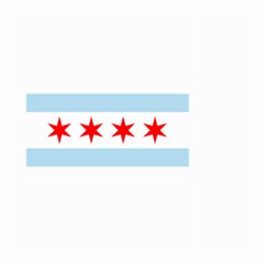 Flag Of Chicago Large Garden Flag (Two Sides)