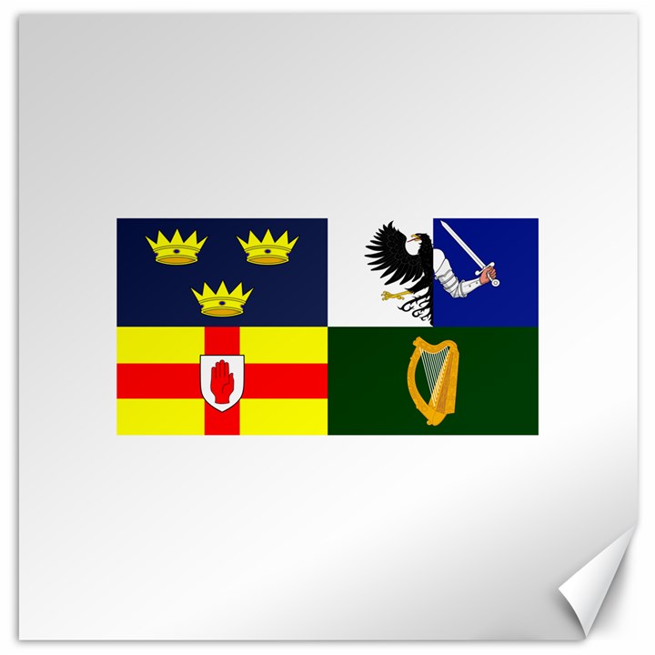 Four Provinces Flag Of Ireland Canvas 20  x 20  