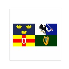 Four Provinces Flag Of Ireland Small Satin Scarf (square) by abbeyz71