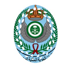 Emblem Of The Royal Saudi Air Force  Oval Filigree Ornament (2-side)  by abbeyz71