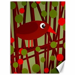 Red cute bird Canvas 36  x 48  