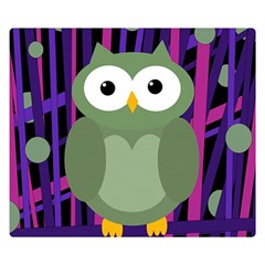 Green and purple owl Double Sided Flano Blanket (Small) 