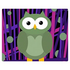 Green and purple owl Double Sided Flano Blanket (Medium) 