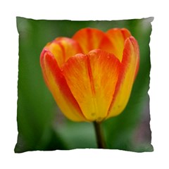 Orange Tulip Standard Cushion Case (two Sides) by PhotoThisxyz