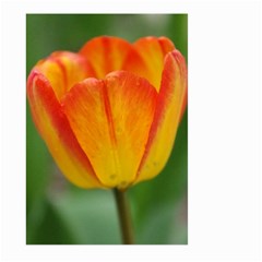 Orange Tulip M Large Garden Flag (two Sides) by PhotoThisxyz