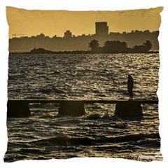 River Plater River Scene At Montevideo Large Cushion Case (two Sides) by dflcprints