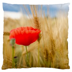 Red Poppy Cushion Case (two Sided) 