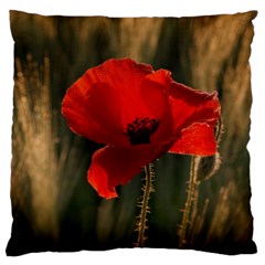 Red Poppy Large Cushion Case (two Sided)  by Fadi2010