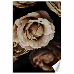 Roses Flowers Canvas 20  X 30   by vanessagf